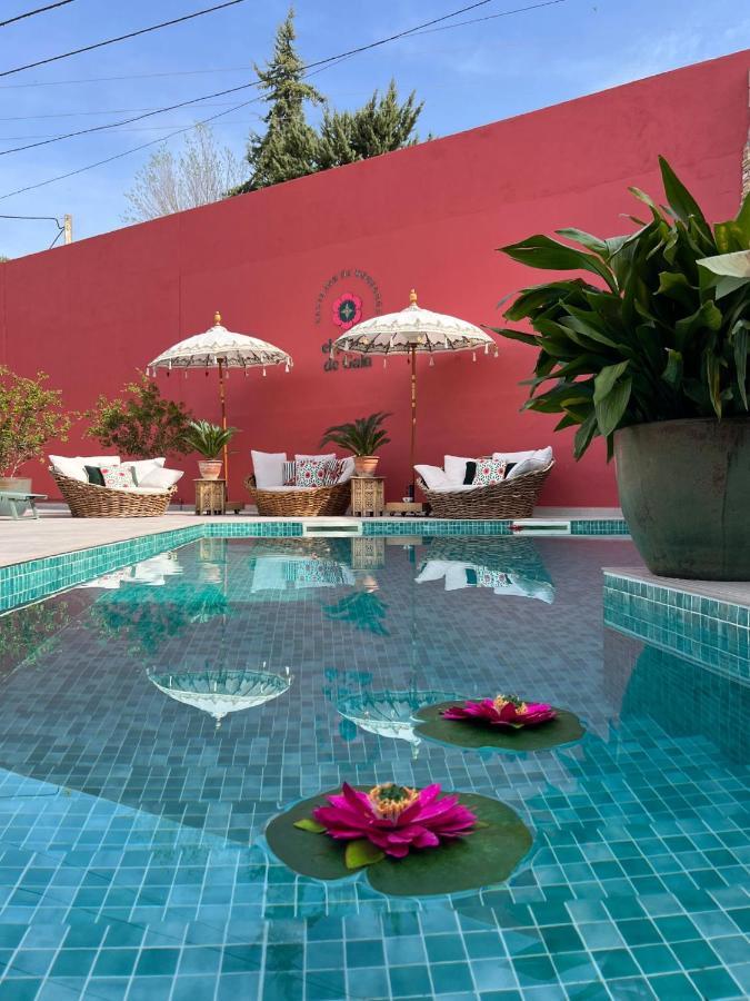El Jardin De Gala Vila Castejon de Monegros Exterior foto